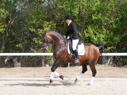 IMG_8060_web